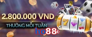 ho88